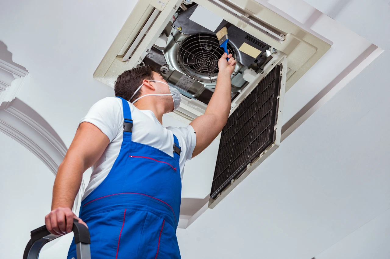 AC Mold Treatment