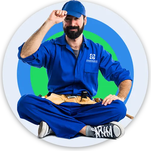 Pamserve maintenance professional